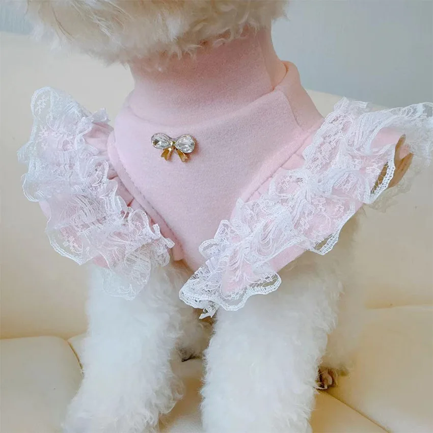 Abbigliamento per animali dome - Lace Teddy Lingerie recensione e prezzo