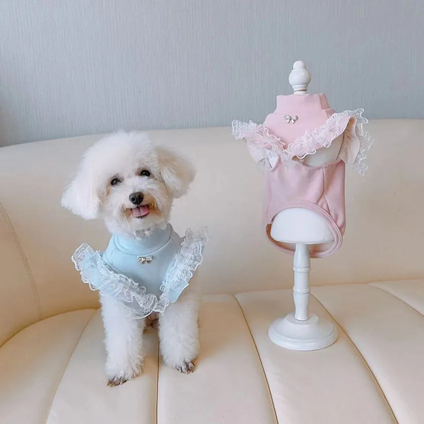 Abbigliamento per animali dome - Lace Teddy Lingerie recensione e prezzo