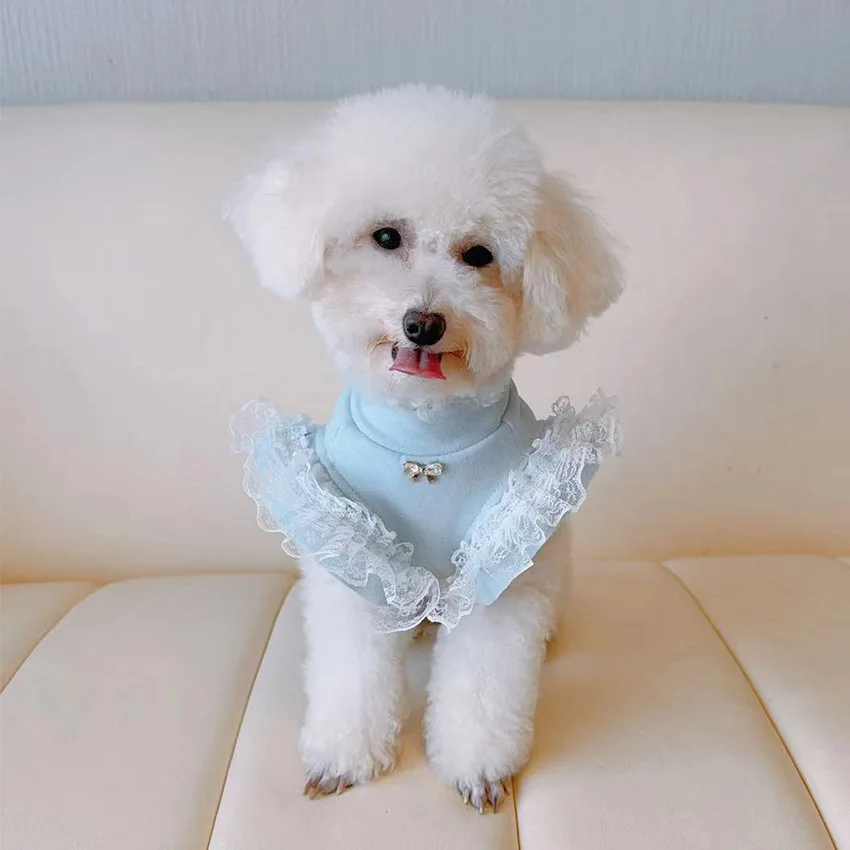 Abbigliamento per animali dome - Lace Teddy Lingerie recensione e prezzo