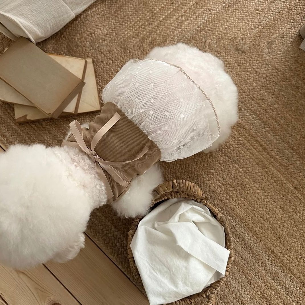 Vestito Estivo in Pizzo per An - Lace Teddy Lingerie recensione e prezzo